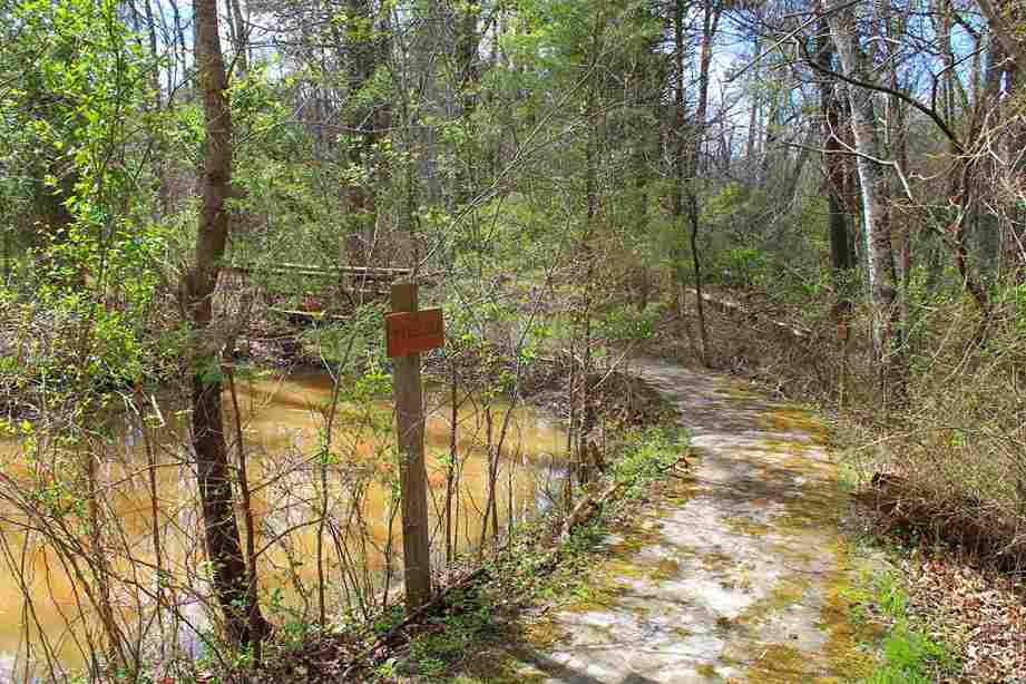 Koen Interpretive Trail Near Jasper