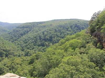 Mount Judea Arkansas